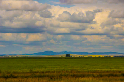 Землю стоимостью 1,8 млрд тенге незаконно раздали акиматы Туркестанской области