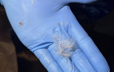 Из-за маленького комка шерсти утилизировали несколько фур экспортного мяса