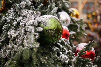 Роза Рымбаева, KeshYOU и другие выступят на зажжении главной елки Алматы