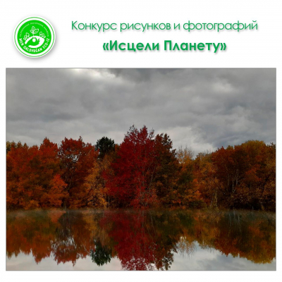 Стрит-арт с Цоем в Алматы, ремонт дороги к озеру Кольсай и специальный эпизод &laquo;Друзей&raquo;