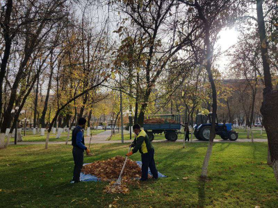 Волонтеры и молодежь Шымкента наводят порядок в парках